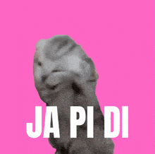 a picture of a cat with ja pi di written in white