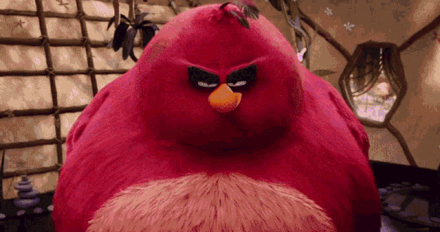 troll face angry bird