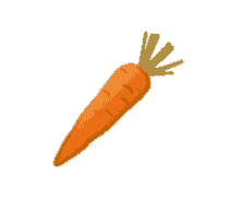 carrot vegetable bite missing bites eating
