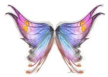 animated butterfly moving wings wave