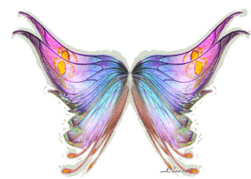 Animated Butterfly Sticker - Animated Butterfly Moving - Discover & Share  GIFs