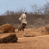 Africa Rhino GIF - Africa Rhino Chasing GIFs
