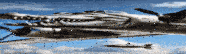 a plane that looks like a crocodile flying in the sky