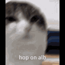 Hop On Alb Kirakat5 GIF
