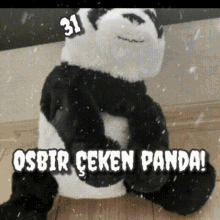 Osbirçeken Panda GIF