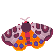 happy butterfly