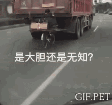 Gif Pet Free Ride GIF - Gif Pet Free Ride GIFs