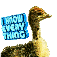 I Know Everything Gif Funny Animals Sticker - I Know Everything Gif Funny Animals Ostrich Stickers