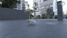 Omg Scurry GIF - Omg Scurry Im Coming GIFs