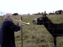 Le Trompettiste GIF - Donkeys Trumpet Music GIFs