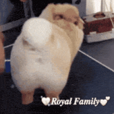 a picture of a dog that says royal family