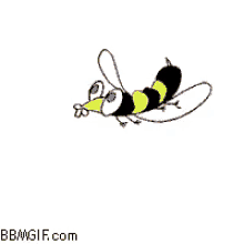 Trapped Bee Bbm Display Picture GIF