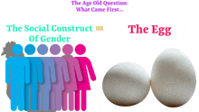 the age old question what came first the social construct or gender and the egg