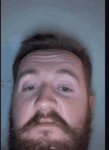 a man with a beard and blue eyes is looking at the camera