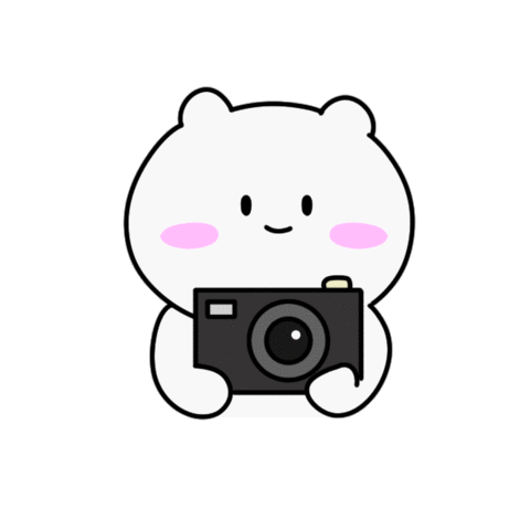 Take Pictures Photography Sticker - Take Pictures Photography Take Picture Stickers