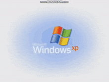 windows windows xp windows animation