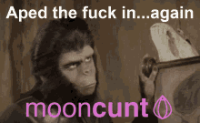 aped in ape in meme degen mooncunt tiktok investor