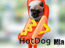 God Hotdogs GIF - God Hotdogs Hotdog Sandwich GIFs