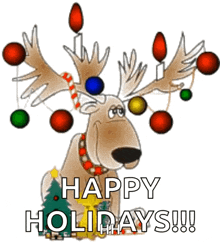 a reindeer with christmas lights on its antlers and the words happy holidays written below it
