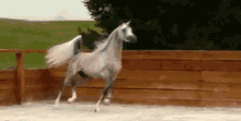 H Horse Strut GIF