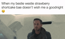 Bestie Westie Strawberry Shortcake Bae GIF - Bestie Westie Strawberry Shortcake Bae GIFs