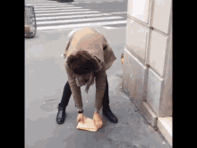 Cant Lift It Too Heavy GIF - Cant Lift It Too Heavy Funny GIFs