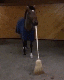 Horse Sweep GIF - Horse Sweep Horse Sweep GIFs