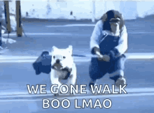 Funny Animals Dogs GIF - Funny Animals Dogs Monkey GIFs