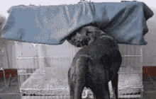 Its Cold GIF - Its Cold Time To Sleep GIFs