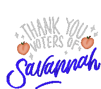 Thank You Voter Thank You Voters Of Georgia Sticker