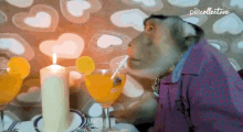 Drinking The Pet Collective GIF