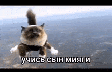 a cat is flying through the air wearing a harness and a harness .