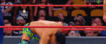 a wrestling match is taking place in front of a crowd in a ring .