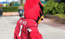 Arizona Cardinals GIF - Arizona Cardinals Mascot GIFs
