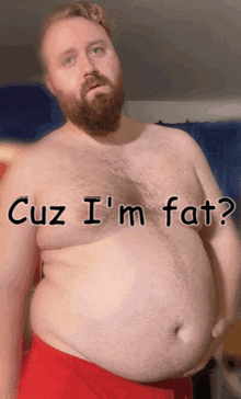 Cuz I'M Fat Fat Belly GIF - Cuz I'M Fat Fat Belly Because I'M Fat GIFs