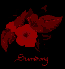 Sunday Red GIF - Sunday Red Glitter GIFs