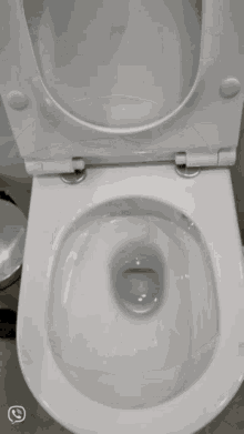 Flashing Toilet GIF - Flashing Toilet Laporta GIFs
