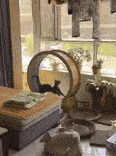 a cat is jumping through a wooden wheel in a bedroom