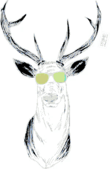 Deer Shades GIF - Deer Shades Sunglasses GIFs