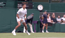 Novak Djokovic Falling GIF - Novak Djokovic Falling Tennis GIFs