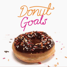 Donut Goals Donuts GIF - Donut Goals Donuts Dunkin GIFs