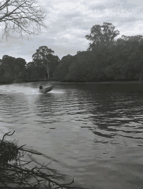 Monkey Boat GIF - Monkey Boat Driving - Discover & Share GIFs
