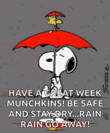Snoopy Raining GIF - Snoopy Raining Rainy Day GIFs