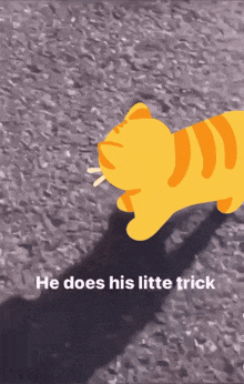 Cat Yellow Cat GIF - Cat Yellow Cat Emoji GIFs