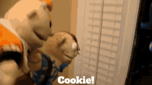 Sml Cookie Monster GIF - Sml Cookie Monster Cookie GIFs