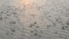 a blurry picture of a beach with the sun shining through the clouds