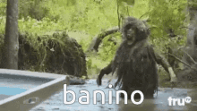 Banino żukowo GIF - Banino żukowo Zukowo GIFs