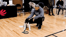 Drake Dog GIF - Drake Dog Pet GIFs
