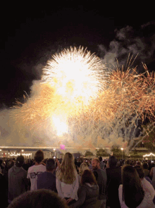 Adelaide Fireworks GIF
