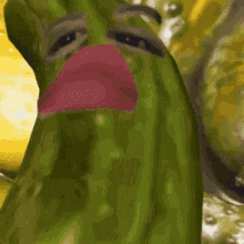 Pickle Wjsn GIF - Pickle Wjsn Dayoung GIFs